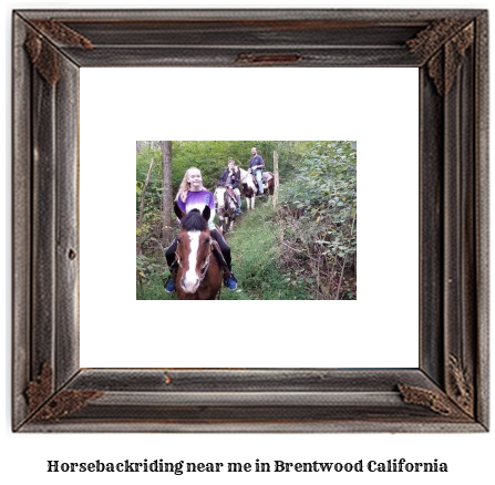 horseback riding near me in Brentwood, California